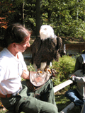 visite des rapaces